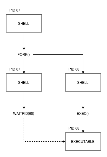 Shell Command Execution